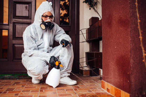 Reliable Ant Control contractor in Bowling Green, MD by Show Me Pest Control